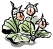 草刈り
